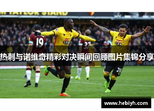 热刺与诺维奇精彩对决瞬间回顾图片集锦分享